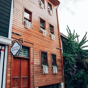 2* Hotel Gulliver Mansion
